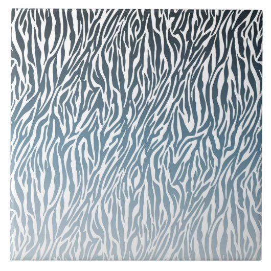 Wild Blue Zebra Print Ombre Tegeltje (Voorkant)
