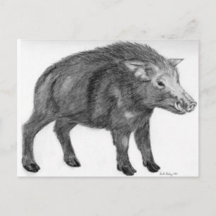 Wild Boar, defensieve Stance Briefkaart