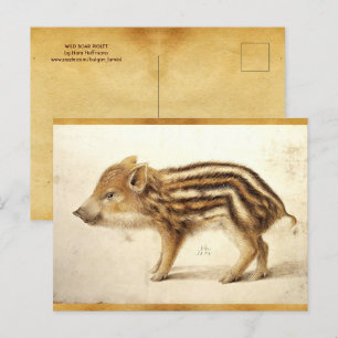 WILD BOAR PIGLET Antiek dierenbeschermingsteken Briefkaart