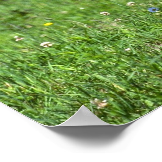 Wild Boar Poster (Hoek)