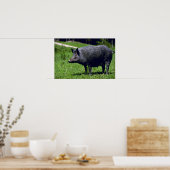 Wild Boar Poster (Keuken)
