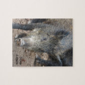 Wild Boar Sierra Espuna Legpuzzel (Horizontaal)