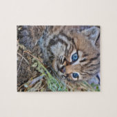 Wild Bobcat Kitten Legpuzzel (Horizontaal)