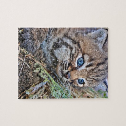 Wild Bobcat Kitten Legpuzzel (Horizontaal)
