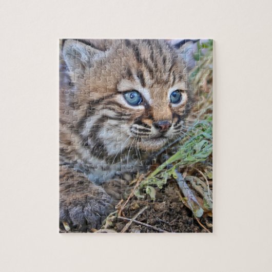 Wild Bobcat Kitten Legpuzzel (Verticaal)