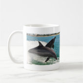 Wild Bottlenose Dolphins Jumping Sanibel FL Mok (Links)