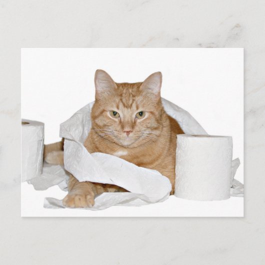 wild briefkaart (Voorkant)