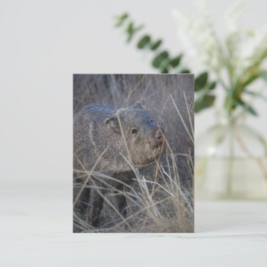 wild briefkaart (Staand voorkant)