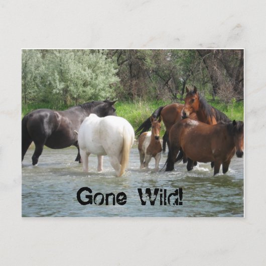 wild briefkaart (Voorkant)