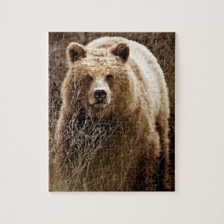 Wild Brown Grizzly Beer - Wilde natuur Legpuzzel
