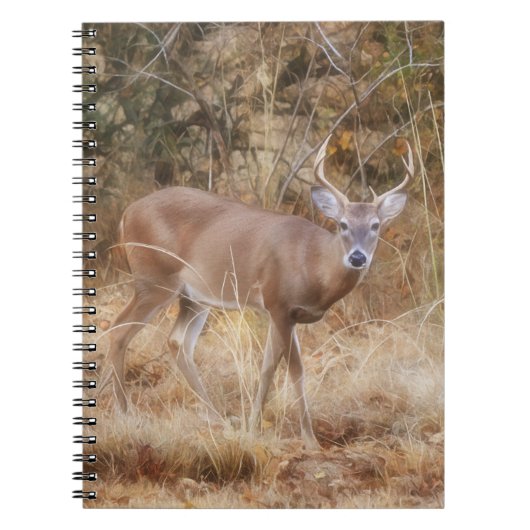 Wild Buck Deer dans un Carnet du Journal des prair (Devant)
