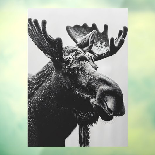 Wild Bull Moose Very Large Shop Raamsticker (Vel 3)