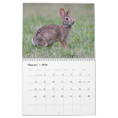 Wild Bunnies Kalender (Feb 2026)