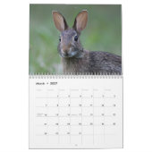 Wild Bunnies Kalender (Mar 2027)