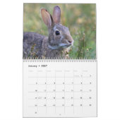 Wild Bunnies Kalender (Jan 2027)