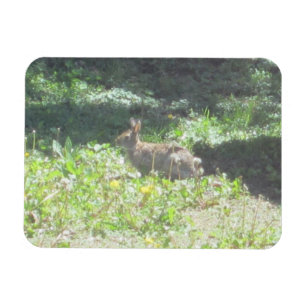 Wild Bunny Flexible Magnet Magneet