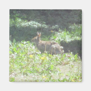 Wild Bunny Magnet Magneet