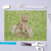 Wild Bunny Rabbit Eating Grass Tissuepapier (Craft)