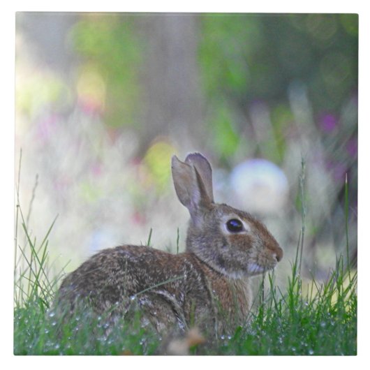 Wild Bunny Rabbit in The Grass Tegeltje (Voorkant)