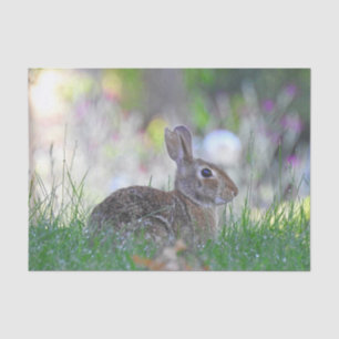 Wild Bunny Rabbit in The Grass Tissuepapier