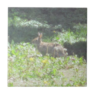 Wild Bunny Tegel Tegeltje
