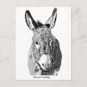 Wild Burro Briefkaart