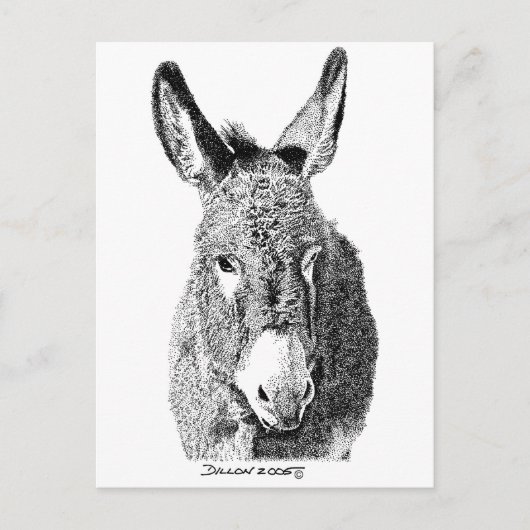 Wild Burro Briefkaart (Voorkant)