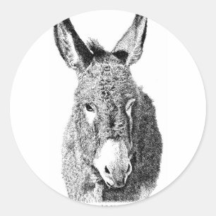 Wild Burro Ronde Sticker