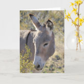 Wild Burros Greeting Kaart (Gele Bloem)
