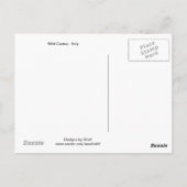 Wild Cactus Briefkaart (Achterkant)