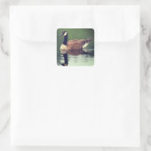 Wild Canada Goose Natuur Vierkante Sticker (Tas)
