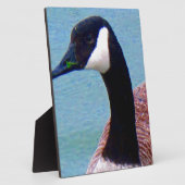 Wild Canadian Goose Fotoplaat (Zijkant)