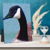 Wild Canadian Goose Fotoplaat (Zijkant)