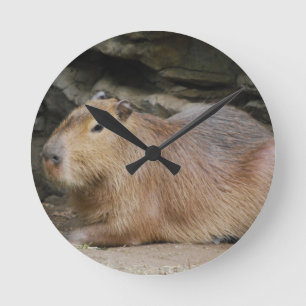 Wild Capybara Clock Ronde Klok