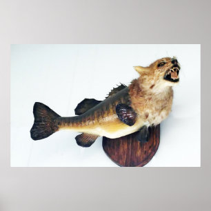 Wild Cat CatFish Bass Funny Taxidermy Poster Art