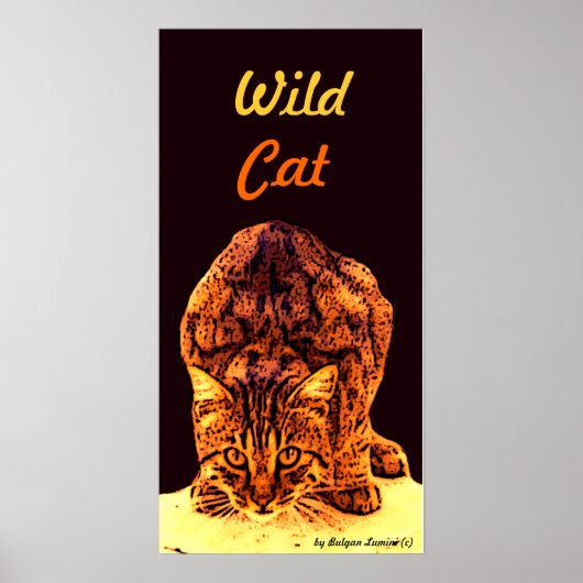 WILD CAT KITTEN POSTER (Voorkant)