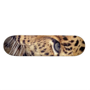 Wild Cat Skateboard