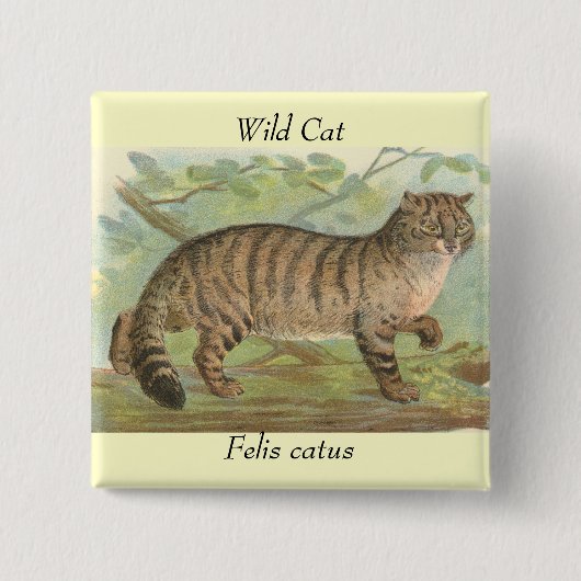 Wild Cat Vierkante Button 5,1 Cm (Voorkant)