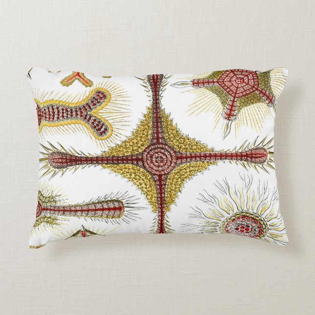 Wild Chamomile door Ernst Haeckel,  Natuur Accent Kussen (Voorkant)