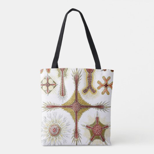 Wild Chamomile door Ernst Haeckel,  Natuur Tote Bag (Achterkant)