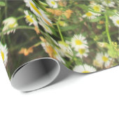 Wild Chamomile - Prairie Mile - giftwrap Cadeaupapier (Rol Hoek)