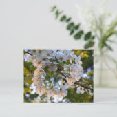 Wild Cherry Blossom Briefkaart (Staand voorkant)