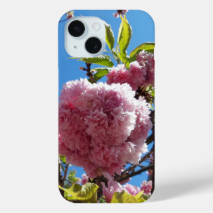 Wild Cherry roze Blossom Tree