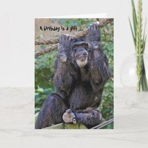 Wild Chimp Humor Kaart