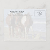 Wild Chincoteague Ponies, Assateague Island Beach Briefkaart (Achterkant)
