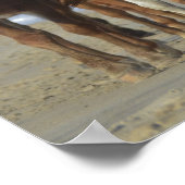 Wild Chincoteague Ponies, Assateague Island Beach Poster (Hoek)