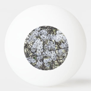 WILD CLEMATIS PINGPONGBALLEN
