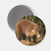 Wild Coati Mundi Magnet (Recto/Verso)