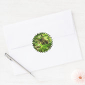 Wild Coati Stickers (Envelop)