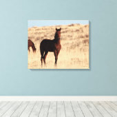 Wild Colt Canvas Afdruk (Insitu (Houten vloer))